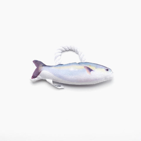 Chewable Simulation Fish Pet Toy