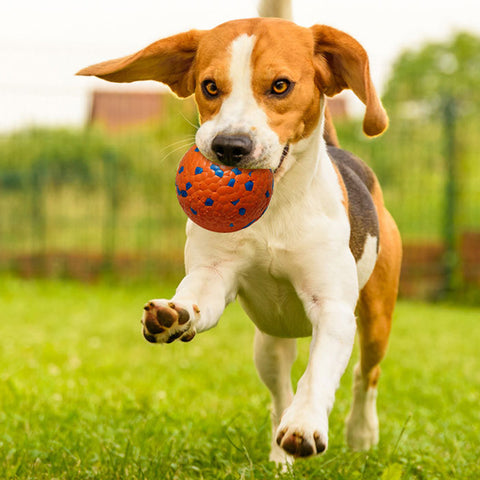 High elasticity tear-resistant ball pet toy