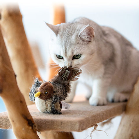 Simulated electric sound-emitting pet toy（Little bird）