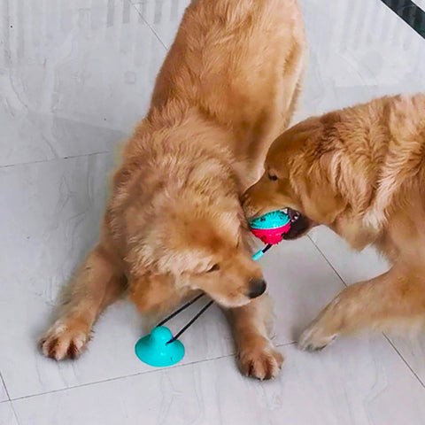 Interactive Suction Cup Dog Chew Toy