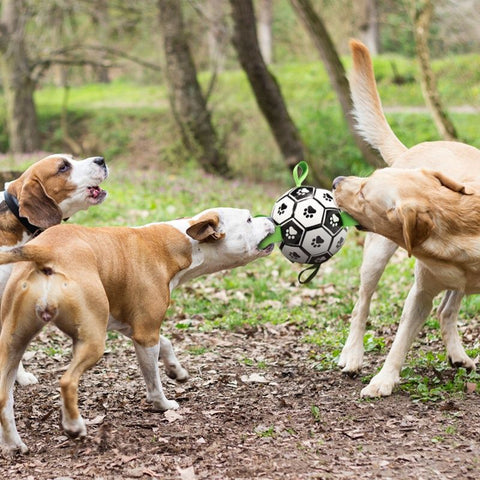 High Bounce Soccer Pet Toy