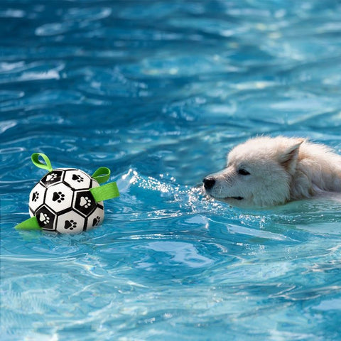 High Bounce Soccer Pet Toy