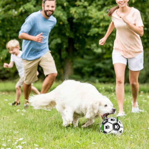 High Bounce Soccer Pet Toy